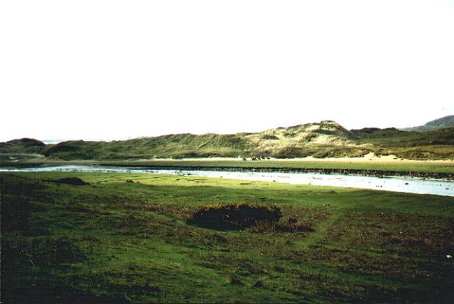 Looking across to the Sand Dunes at Merthyr Mawr