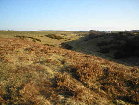 Pant Mari Flanders looking towards Heol y Mynydd