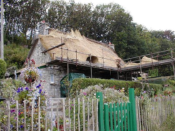 Cottage at Dunraven Bay being re-thatched in 2002