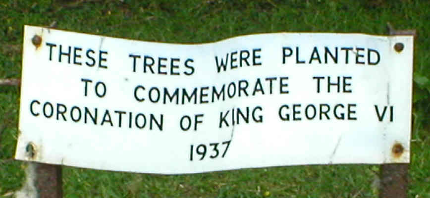 Sign to identify trees planted to mark 1937 Cornonation of HM King George VI