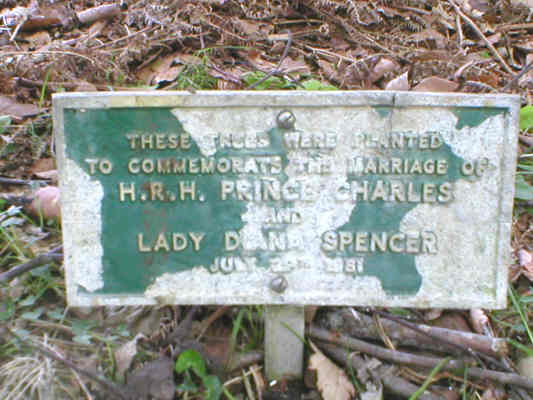 Sign to identify trees planted to mark 1981 marriage of HRH Prince Charles & Lady Diana Spencer