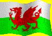 Welsh Flag and link to Welsh Castles web site