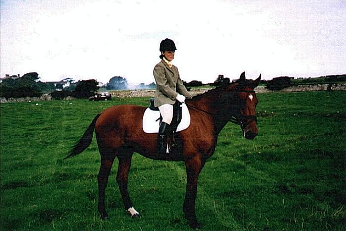 Horse and rider in field