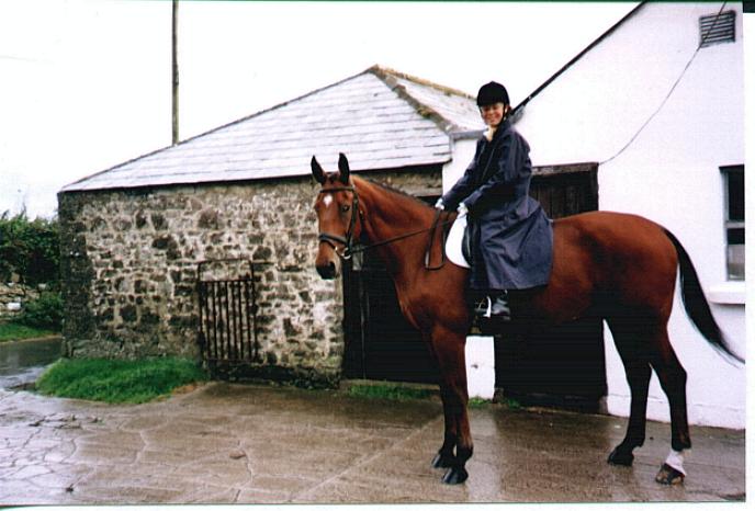 Horse and rider in yard